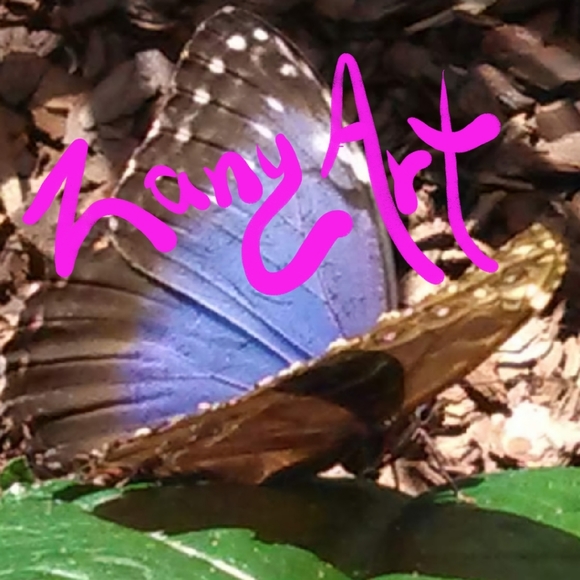 Meet your Posher, Alice - Picture 7 of 7